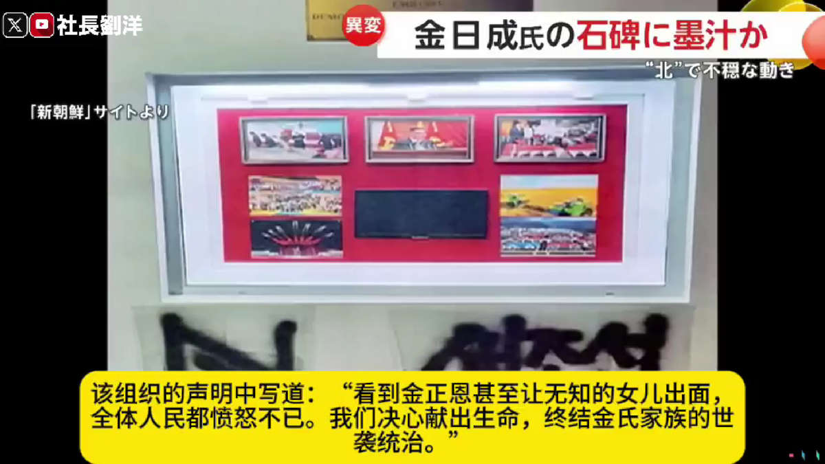 根據該團體官網的說法，他們將以代表「新」的「New」和反對金正恩的「N」旗幟進行活動。 圖 : 翻攝自影片