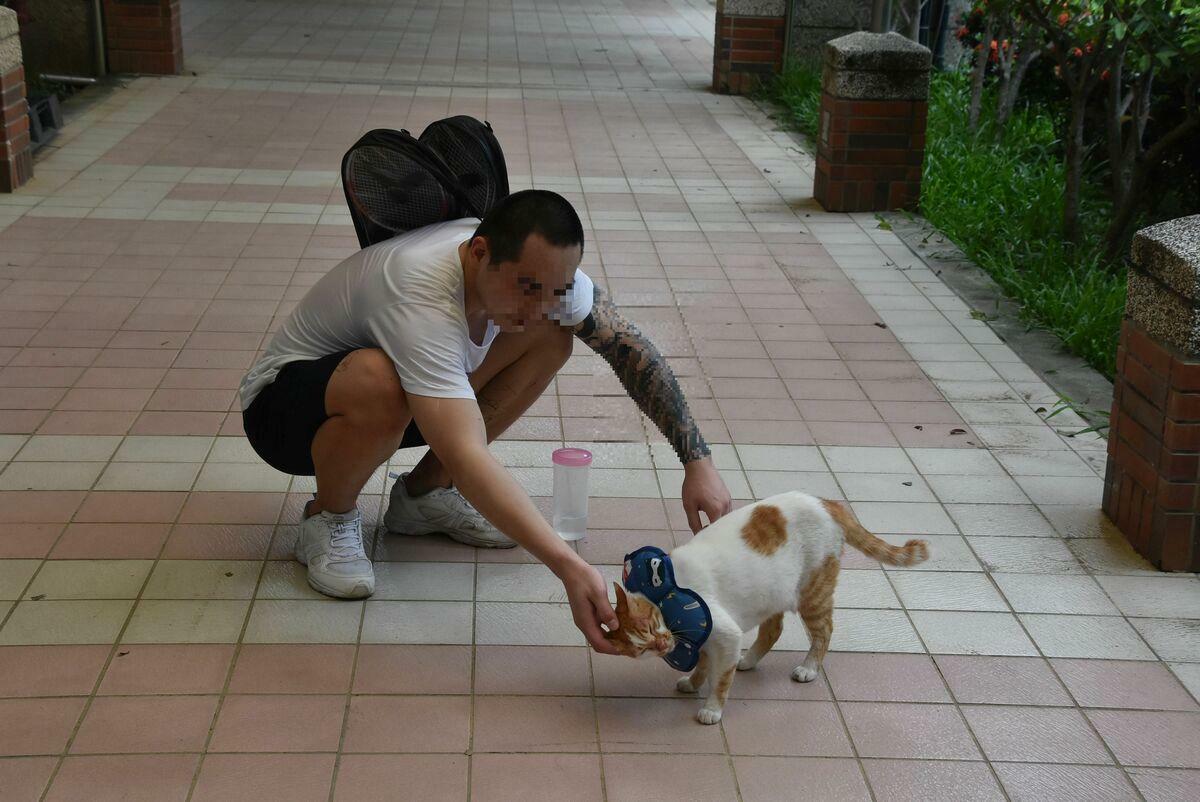 流浪貓咪征服重刑青少年、啟發他們內心最柔軟的一面。 圖：孫家銘翻攝