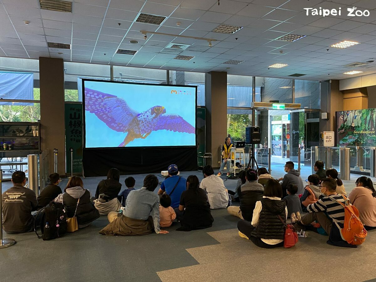 此外教育中心大廳在週六更變身為「動物野驚奇 週六電影院」，播映動物動畫片，讓想像與驚奇的動物世界，加入大家夜晚甜美夢境的故事。 圖：翻攝自台北市立動物園官網