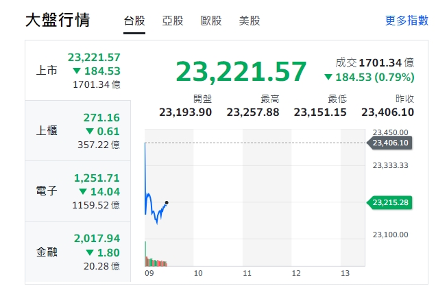 輝達痛失市值王 台股早盤跳空開低 力守23000點