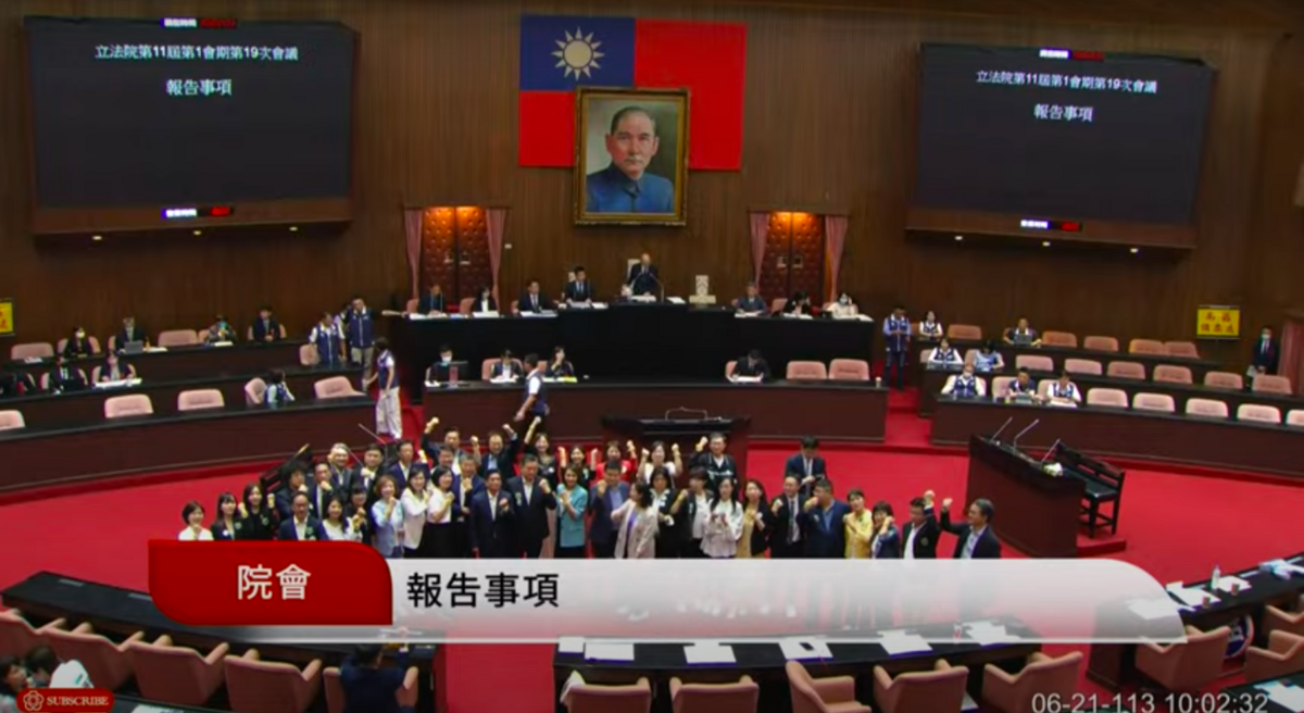 民進黨立委林宜瑾提案下修公民權至18歲修憲案，順利一讀送交修憲委員會審查。 圖：翻攝自國會頻道