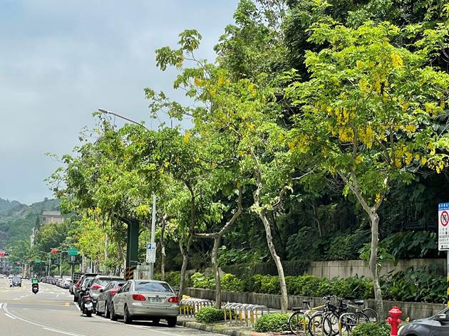 有民眾認為，行人優先區恐演變成「行車地獄」，對此交通部回應「不會在主要的交通幹道上設置」。 圖：台北市政府工務局公園路燈工程管理處／提供