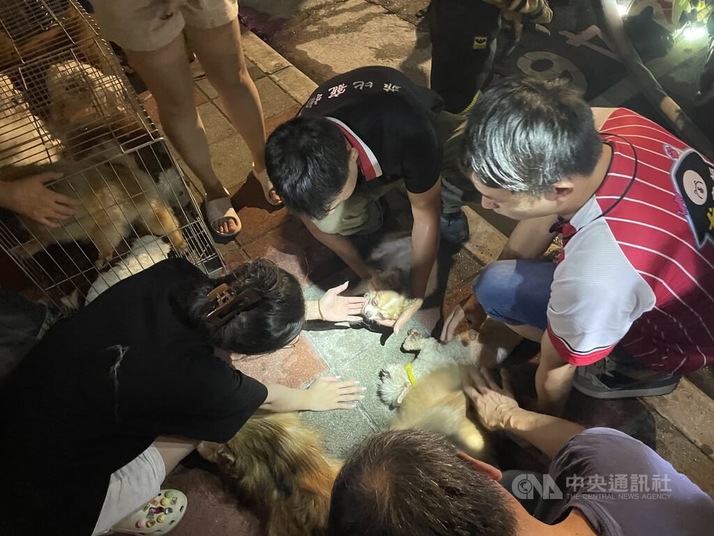 花蓮市區一家寵物美容店22日晚間發生火警，雖未傳人員傷亡但有多隻寵物犬受困，消防人員陸續從火場救出寵物犬，並在現場急救。 圖：中央社提供