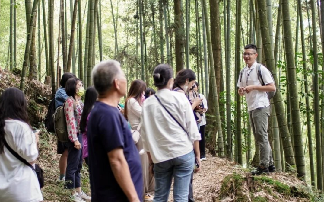 實現淨零！森林療癒師引領走進森林 畜產業化糞肥為綠金