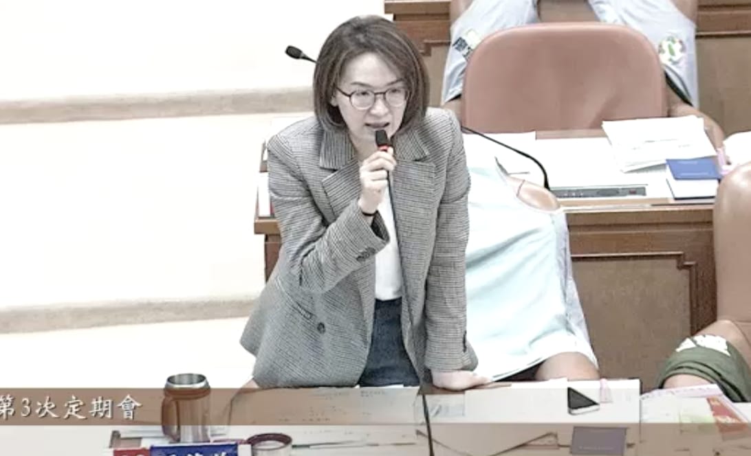 民進黨新北市議員顏蔚慈。 圖：翻攝新北市議會直播