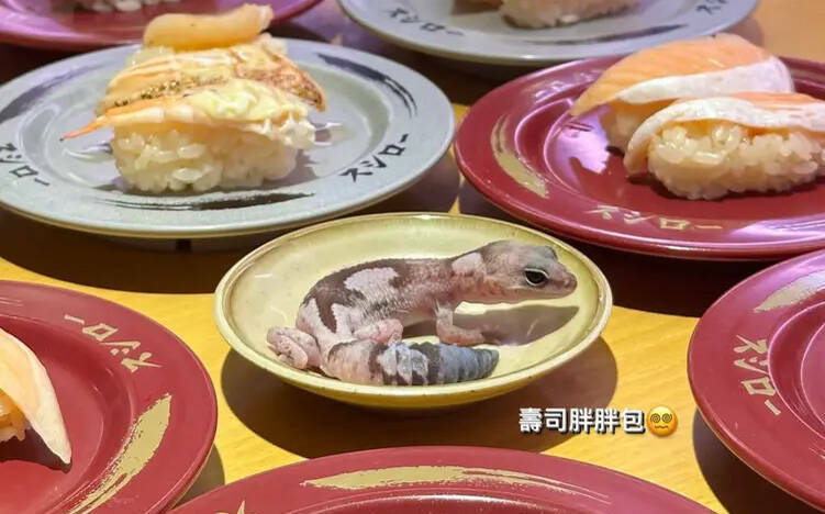 元智女大生守宮放醬料盤 壽司郎擬告！校方回應了