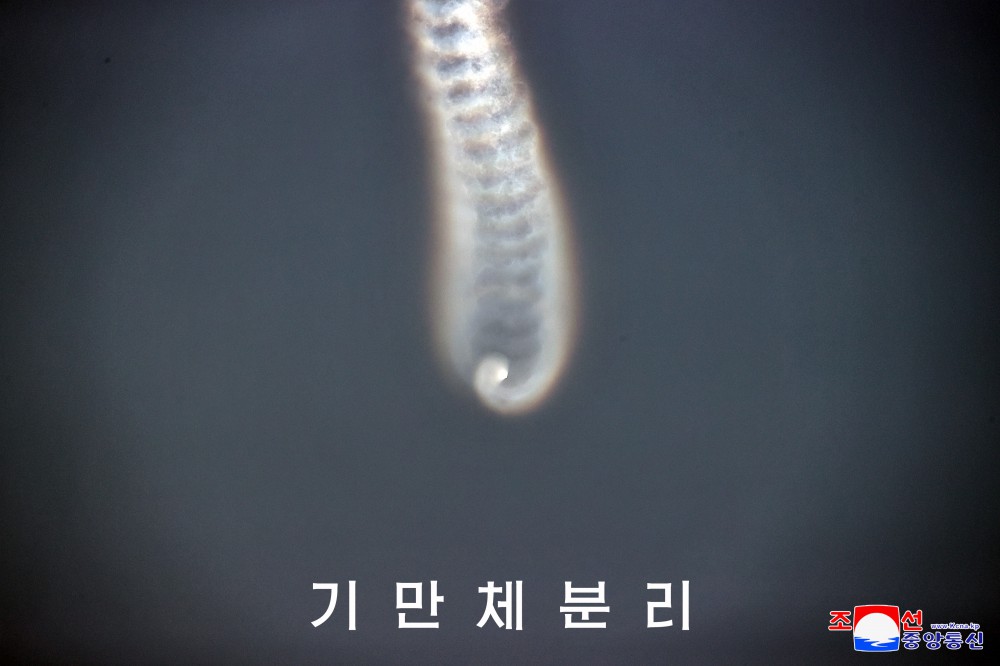 北韓宣稱「個別機動戰鬥部分離及導引試驗」，3個分離彈頭精準命中目標。 圖：翻攝朝中社