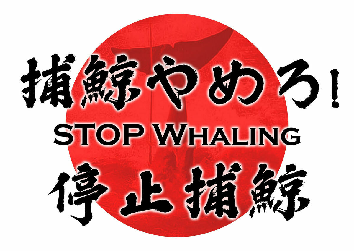 台灣民間團體7/1將赴日本台灣交流協會抗議：要求撤回商業獵捕長須鯨決議