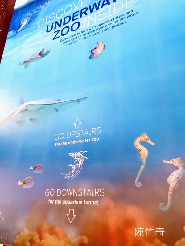 圖說三：杜拜在沙漠中興建了水族館。 圖:陳竹奇攝