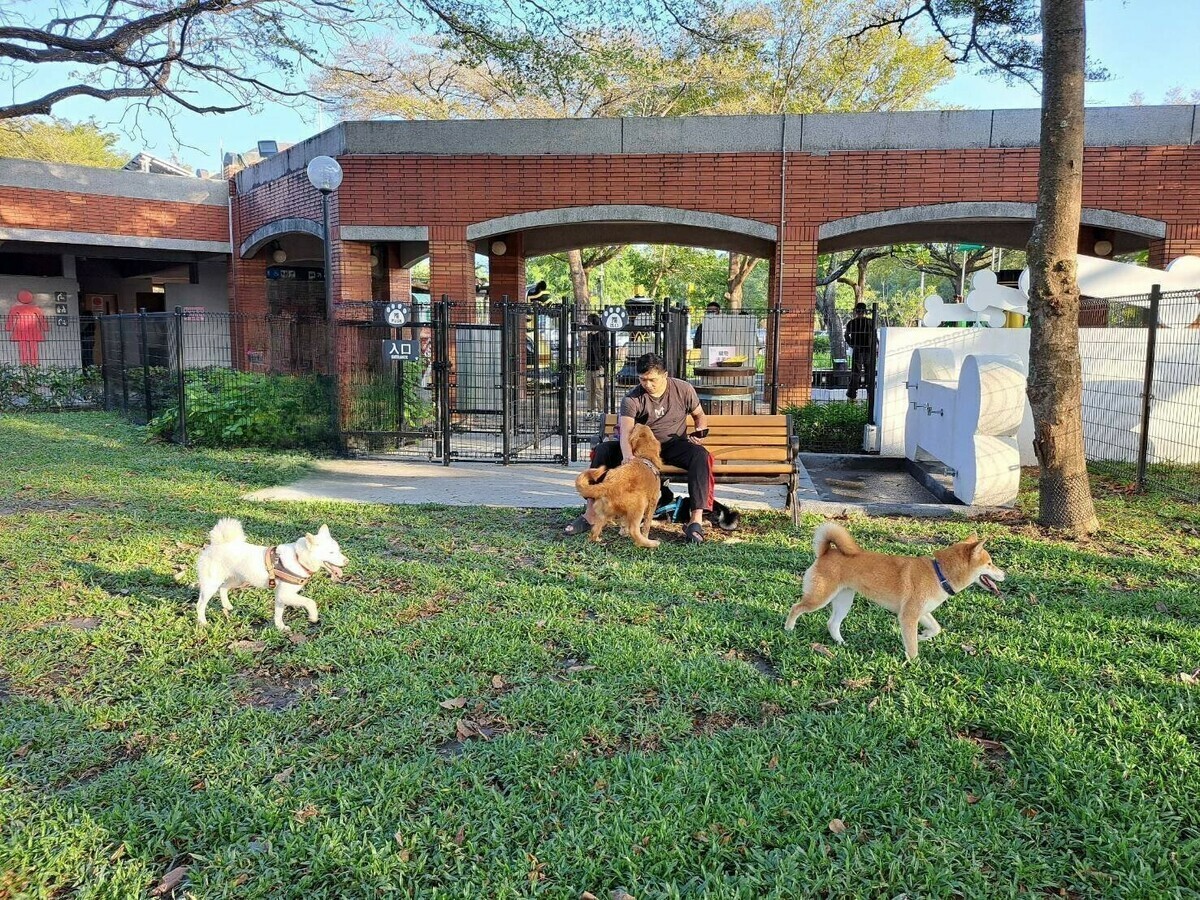 古坑服務區寵物公園。 圖：交通部高速公路局／提供