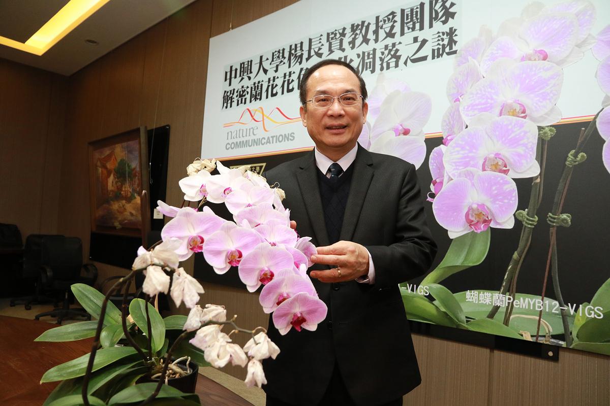 中興大學生科研究所講座教授楊長賢獲選為中研院生命科學組新科院士 圖：中興大學提供
