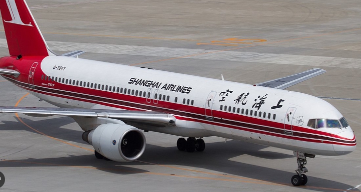 上海航空班機示意圖。 圖 : 翻攝自微博
