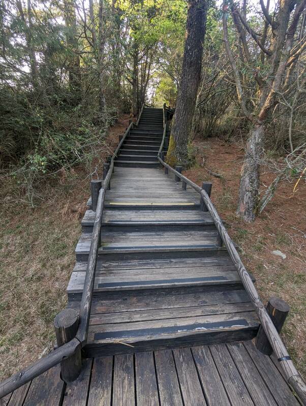 雪霸國家公園管理處今年7月20日至12月20日將辦理雲霧步道第2期整修工程，施工期間全線封閉。 圖：雪霸國家公園管理處／提供