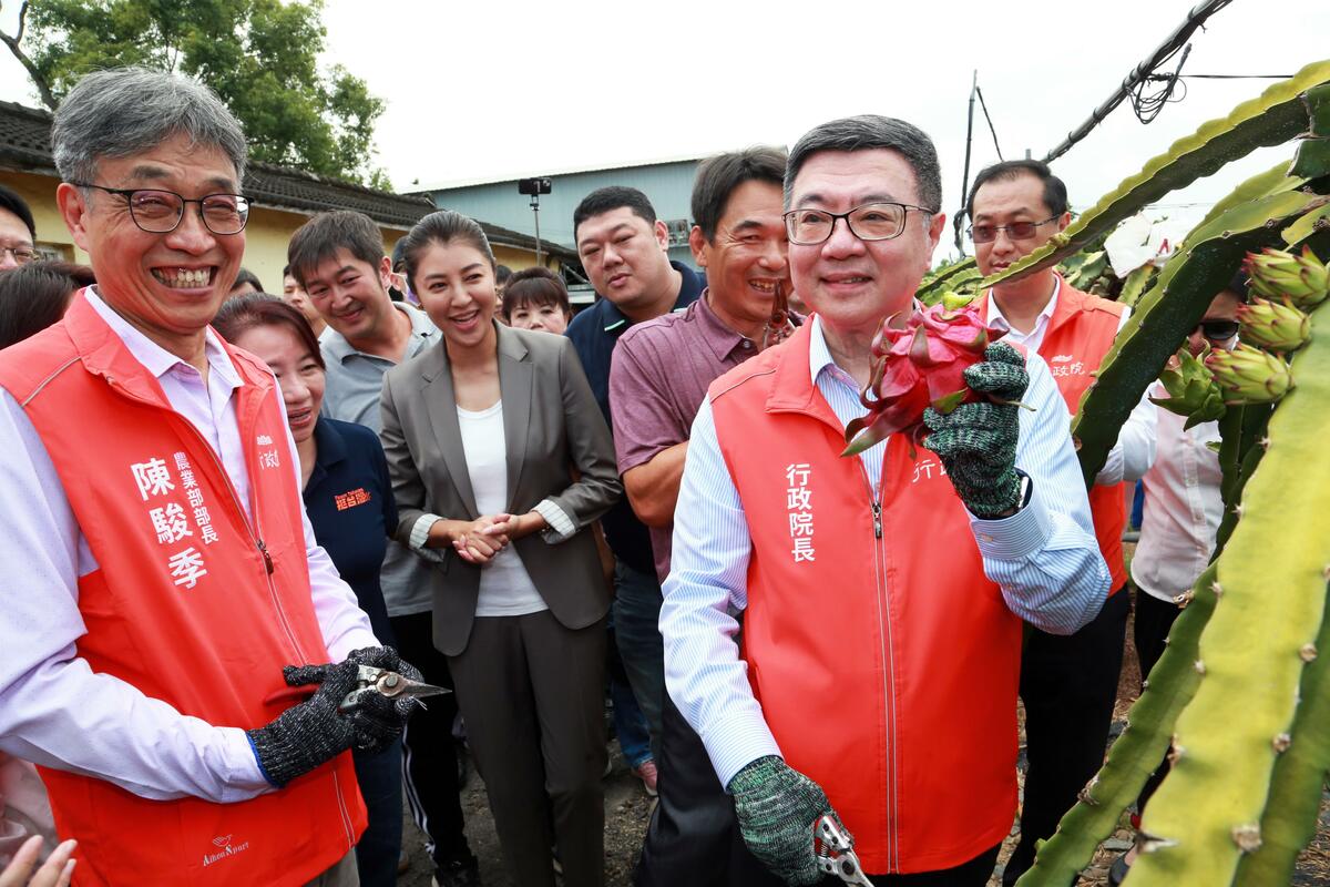 行政院長卓院長訪視紅龍果外銷供果園，農業部長陳駿季、南投縣許淑華縣長、農糧署姚士源署長陪同下體驗採果。 圖：農業部／提供