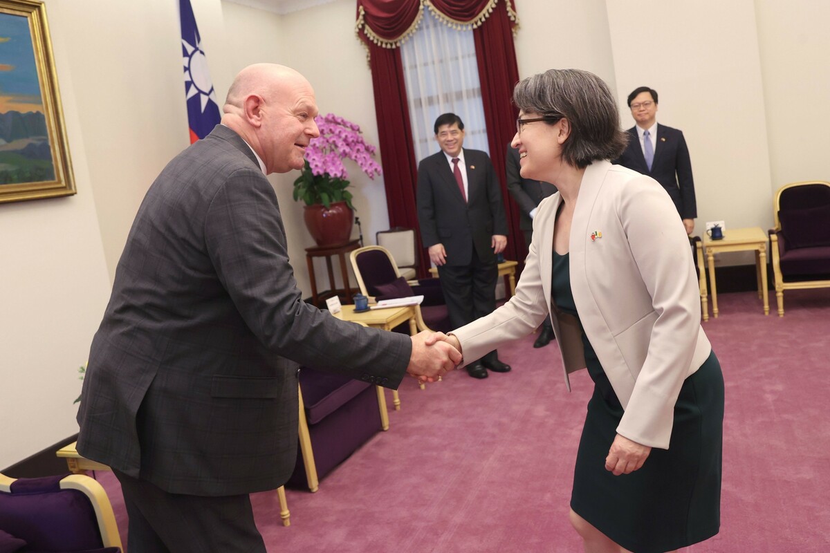 副總統蕭美琴接見愛爾蘭參議院議員訪問團。 圖：總統府提供