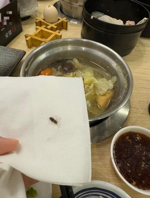 一位女性網友在臉書社團「我是永和人」、「爆料公社」爆料，她和家人在中和區一家火鍋店用餐時，發現多顆疑似老鼠屎的物體。 圖：翻攝自「我是永和人」臉書社團