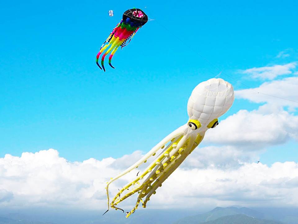 造型風箏及特技風箏在天空齊飛，搭配旗津黑沙海岸及湛藍的天空，無敵美景，保證讓大家的夏天精彩繽紛。 圖：高雄市觀光局提供