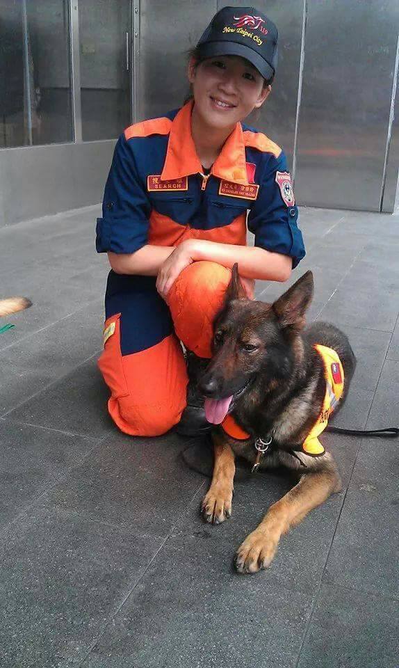 新北搜救犬米尼、波卡、摩卡、乒卡、桑妮跟小辣退役待認養。 圖:翻攝自朱立倫臉書