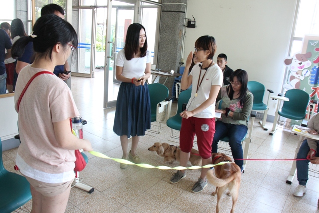 新手飼主們常碰到的飼養問題，犬隻行為飼主訓練課程裡的專業老師可以來幫你。 圖：台中市動物保護防疫處提供