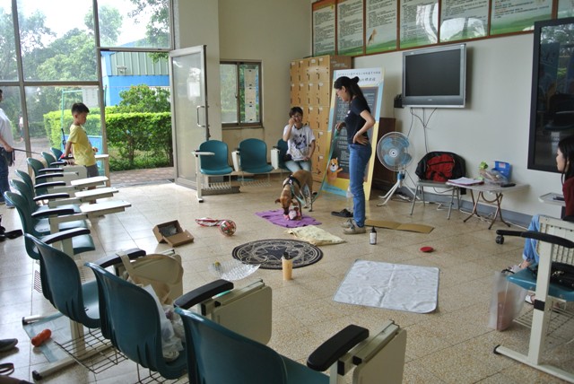 針對毛小孩的年齡不同及犬隻程度分班授課，借此來增強毛小孩的學習力與反應能力。 圖：台中市動物保護防疫處提供