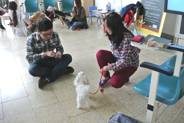 新手飼主們常碰到的飼養問題，犬隻行為飼主訓練課程裡的專業老師可以來幫你。 圖：台中市動物保護防疫處提供
