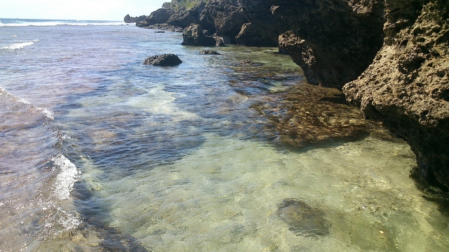 多樣海底生物潛藏礁石之間，但這樣的海洋美景近年卻受到嚴重傷害。 圖：小琉球旅遊資訊網提供