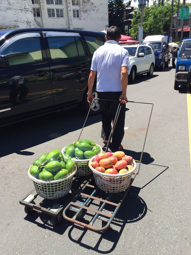 果農將一籃籃的芒果載往市場銷售。 圖：任安華/攝