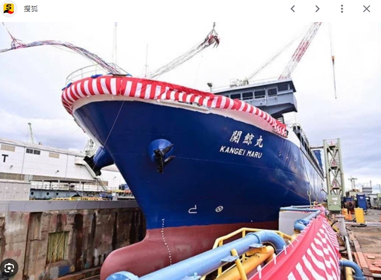 日本的捕鯨船一年獵殺數百頭鯨魚。 圖 : 翻攝自搜狐