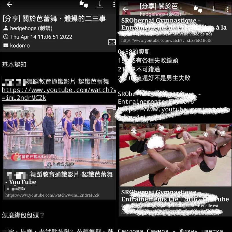「德州媽媽」踢爆PTT上有「蘿莉控板」，有網友分享偷拍小孩的照片和分享小孩跳芭蕾幾乎露點的影片。 圖：翻攝臉書
