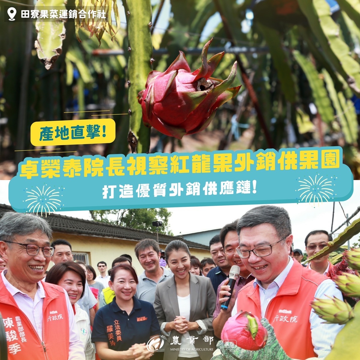 我國品質優良的紅龍果近來成功獲得日本同意進口，行政院 卓榮泰（前排右起）與#農業部陳駿季等人，前往南投視察紅龍果外銷供果園。 圖：翻攝自農業部臉書