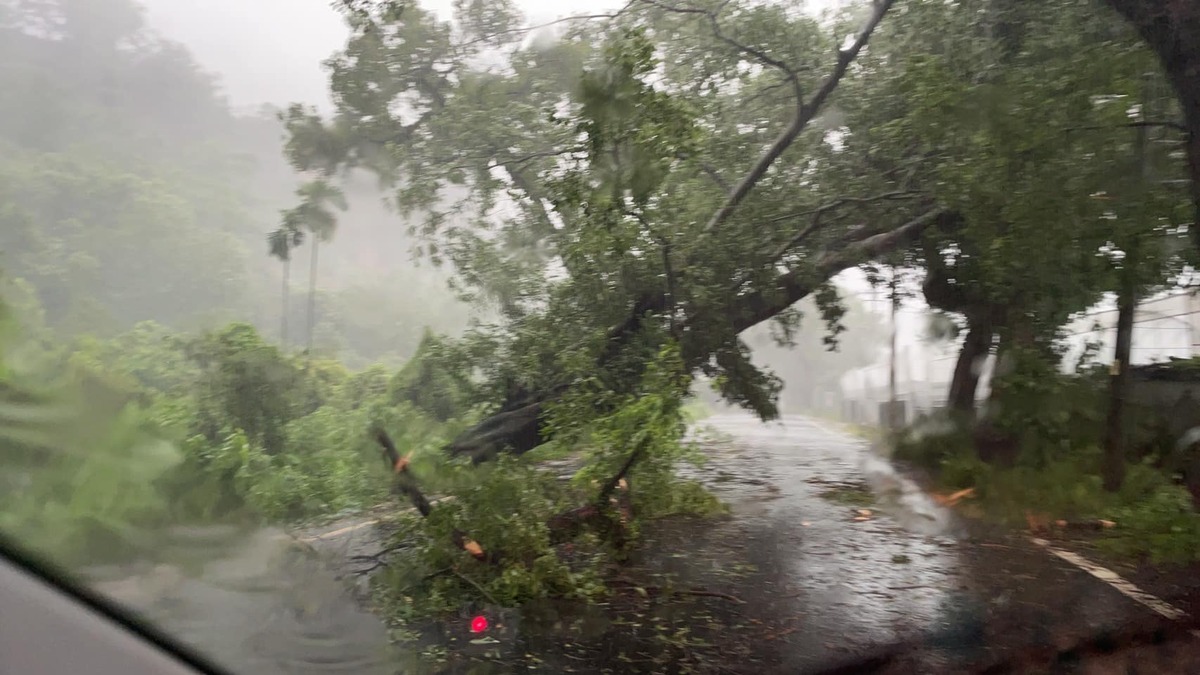 南雅村員集路名間往二水方向的道路及中正村武德宮旁的小路上，樹木、竹子傾斜倒塌，電線受壓甚至斷裂，還有落石和土石流現象，造成極大安全隱患。 圖 : 翻攝自吳政緯臉書