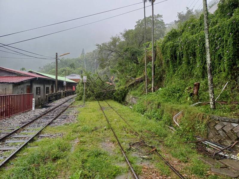 嘉義阿里山鄉降雨已趨於緩和，阿里山國家森林遊樂區今天持續進行園區林木枝條清理、崩塌土石移除及環境整備，預計明天上午8時起恢復服務遊客。 圖：阿里山林鐵及文資處／提供