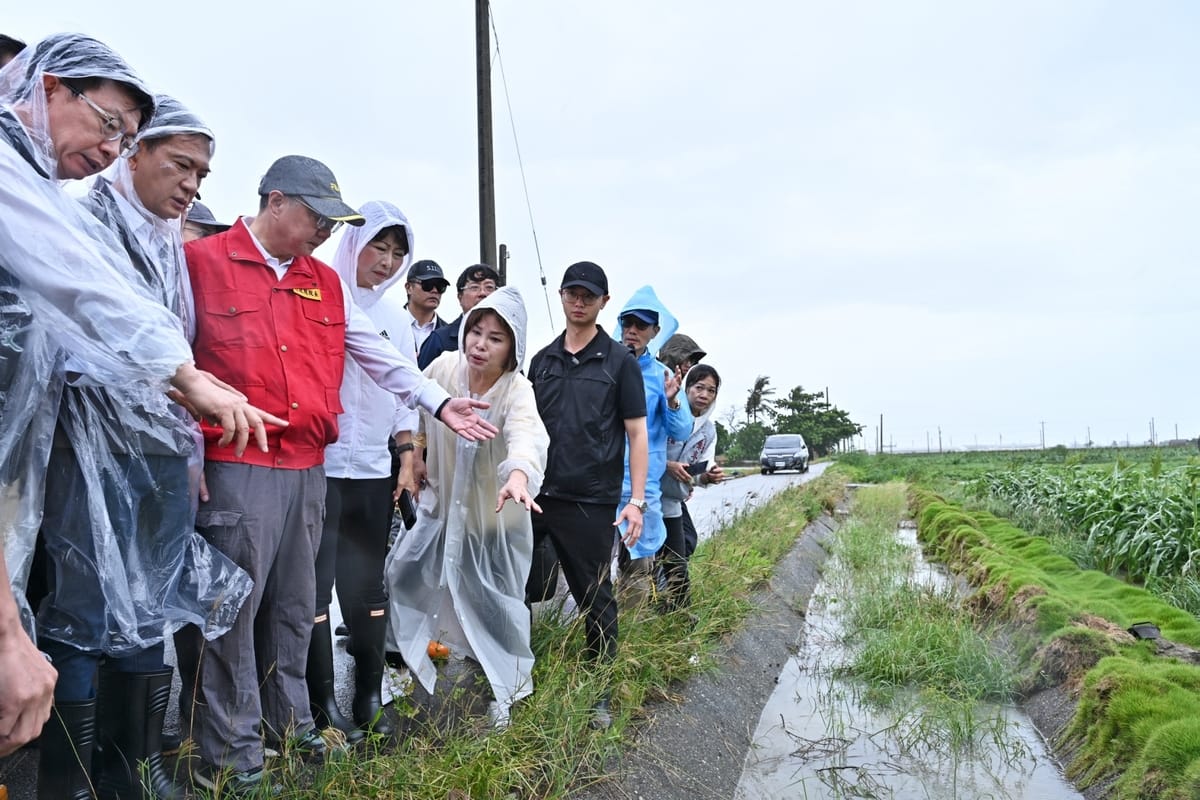 行政院長卓榮泰今(26)日視察台南市高粱籽實農作災損情形。 圖：行政院提供