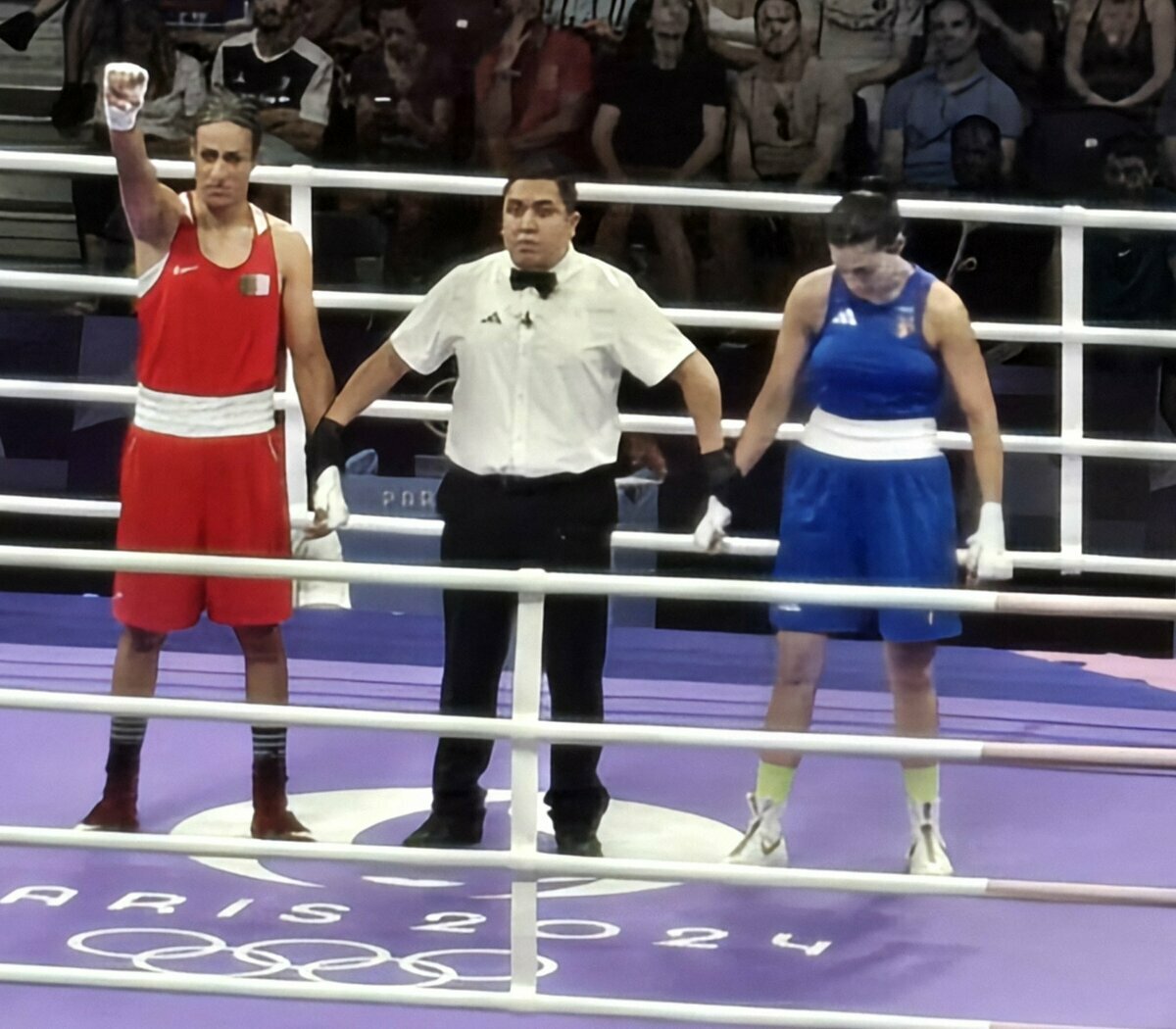 一名阿爾及利亞選手赫利夫（Imane Khelif）週四（ 1 日）在巴黎奧運 16 強比賽擊敗義大利選手卡蓮妮，在比賽過程中卡蓮妮因過於痛楚先行投降棄賽，整個過程僅用 46 秒。 翻攝自 X   Sophie Rain Thread