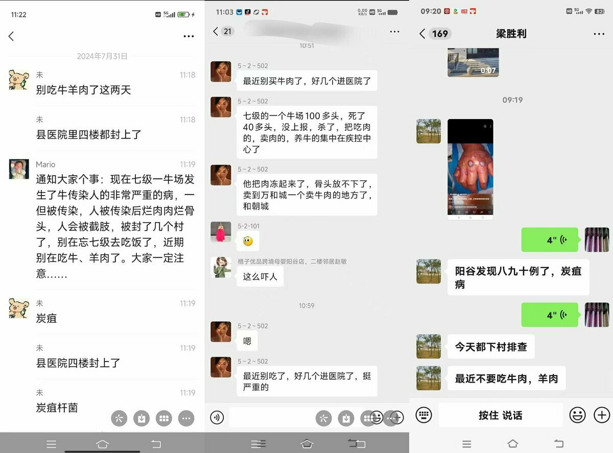 感染炭疽病的牛肉和骨頭被賣到萬和城和朝城。陽谷目前發現八九十多感染案例。 圖：翻攝自 Daniel Fang X 帳號