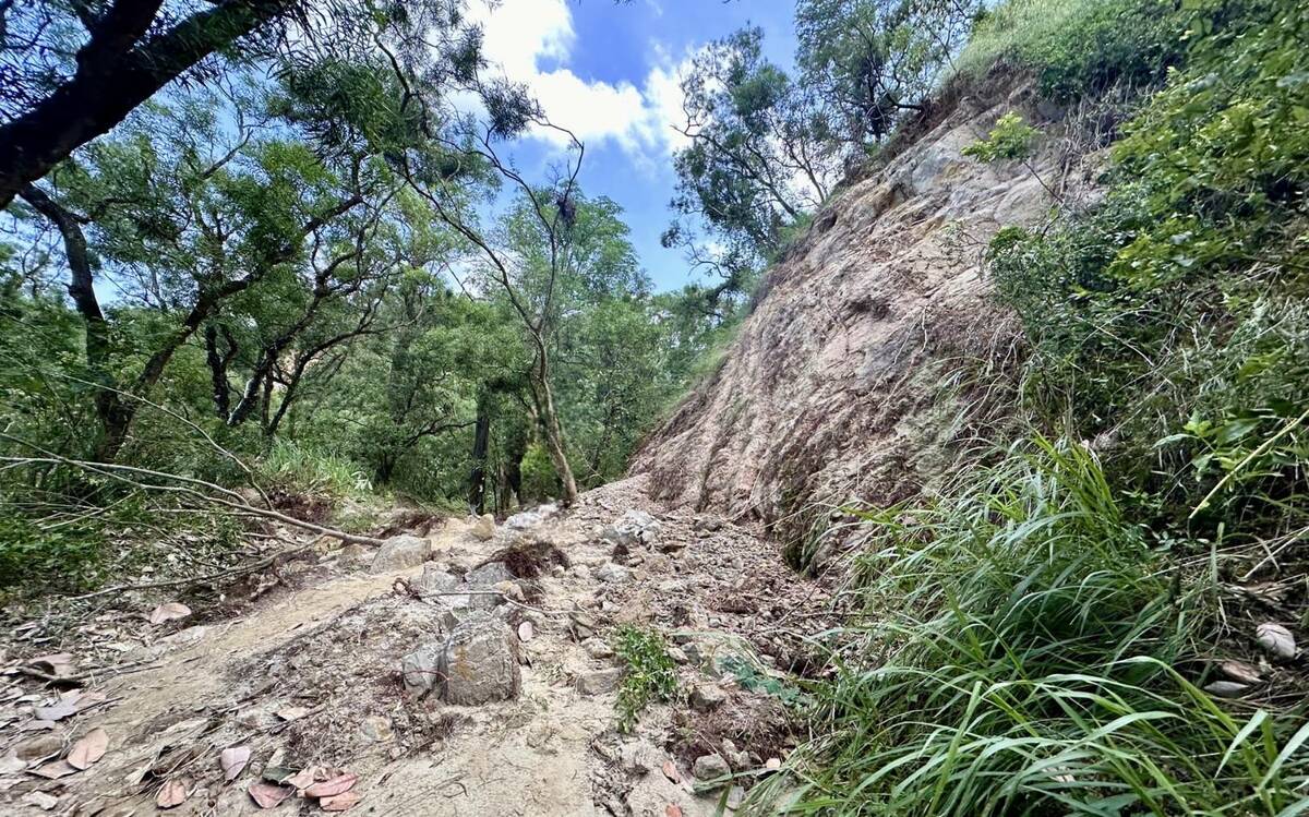 大社觀音山部分登山步道出現大面積邊坡滑落。 圖：高雄市觀光局/提供