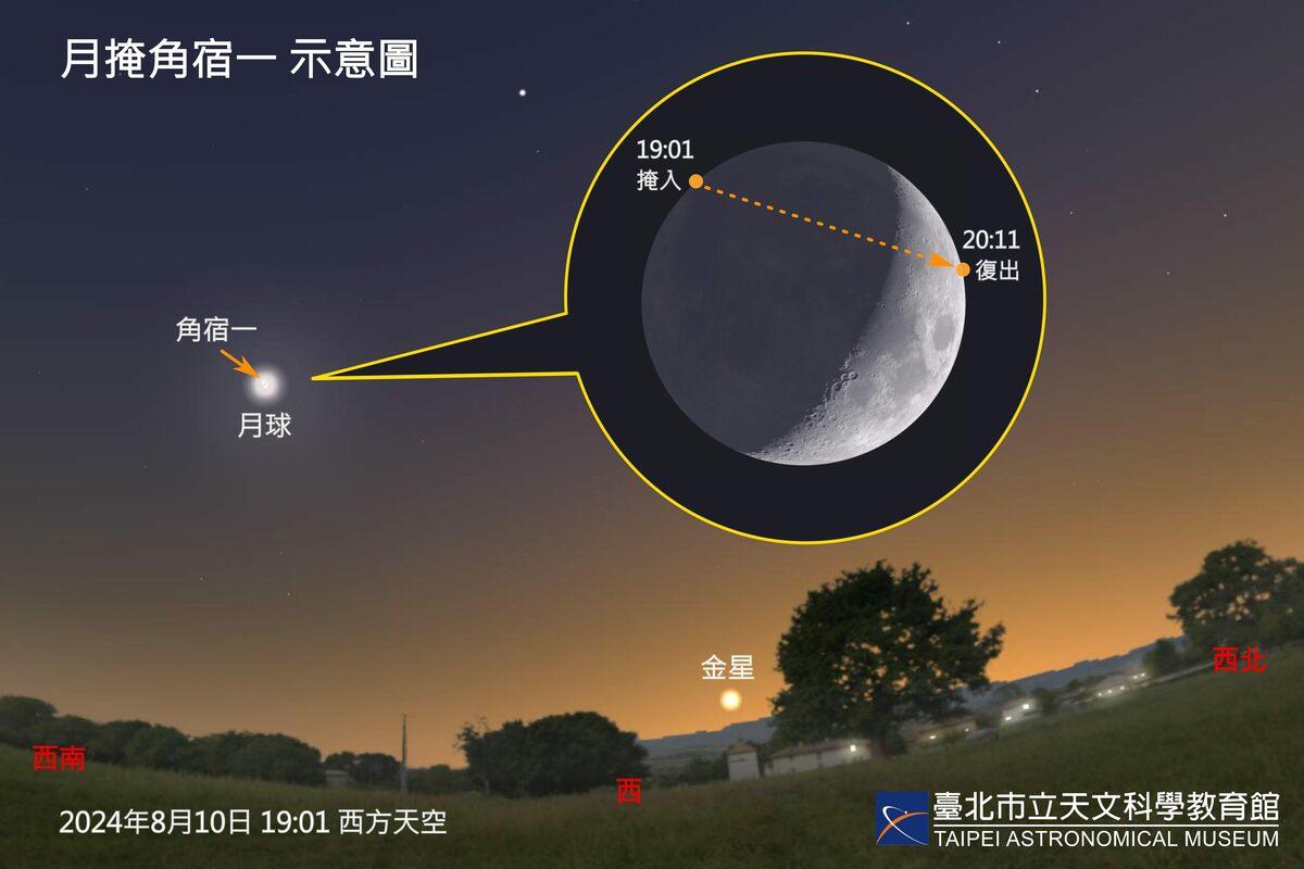 天文館表示，8月10日傍晚將發生月掩角宿一天象，亮度1.0等的角宿一於19時1分自月球暗緣掩入，20時11分由亮緣復出。 圖：翻攝自台北市立天文館官網