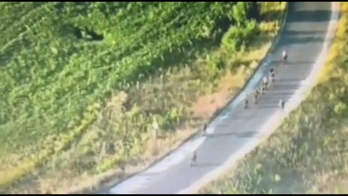 在庫爾斯克地區，烏克蘭軍隊的影片顯示了俄羅斯士兵投降的場景。 圖 : 翻攝自影片