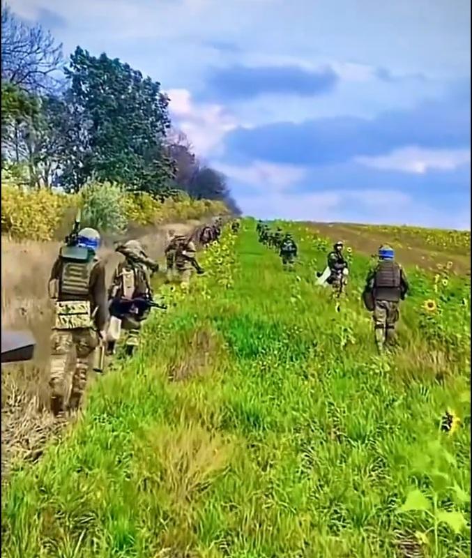 烏軍又投入了幾隻新的突擊旅，參與在庫爾斯克的進攻。 圖：翻攝自愚蠢的精衛 X 帳號