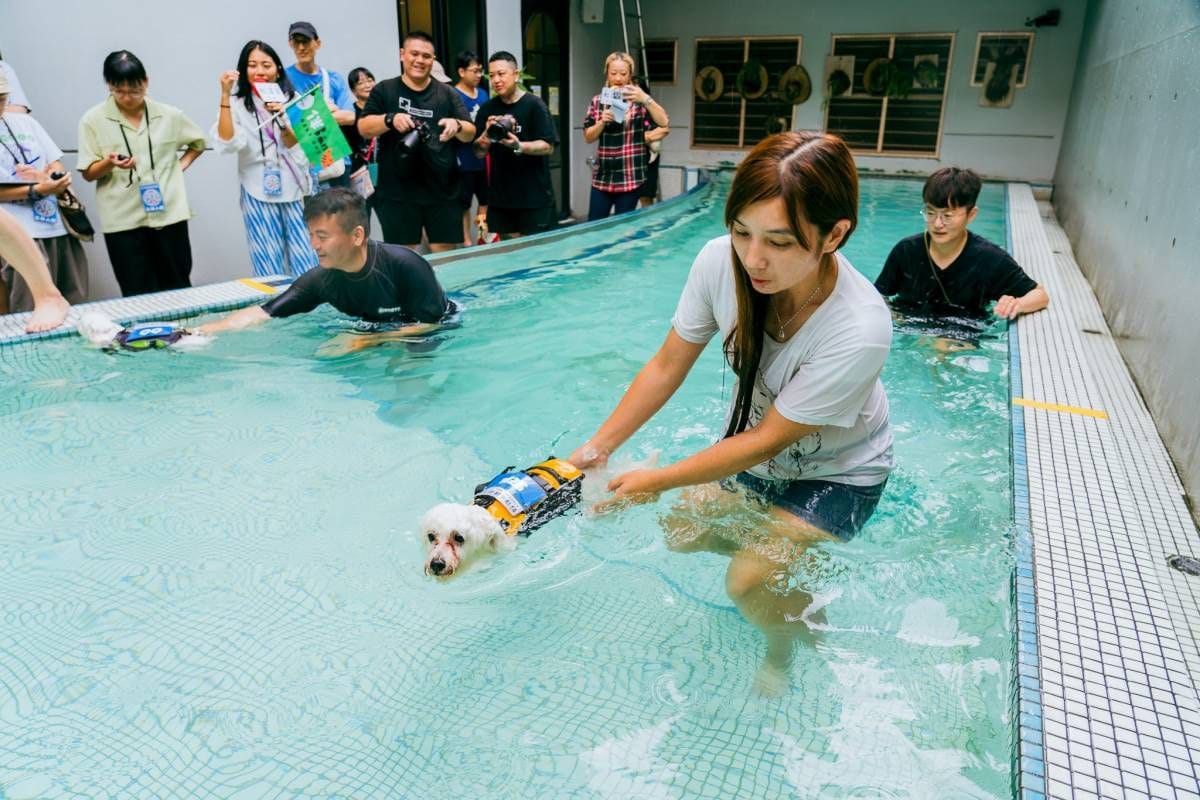 主人為了陪愛犬出賽也跟著撩落去。 圖：高雄市農業局/提供