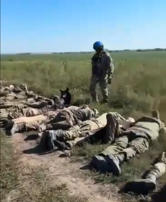 烏軍近期在庫爾斯克一次俘獲大批俄軍，有102人集體投降。 圖：翻攝自 NiKITa X 帳號