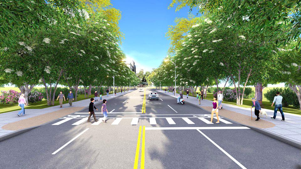 緯六路計畫開闢雙向四線道。 圖：高雄市文化局/提供