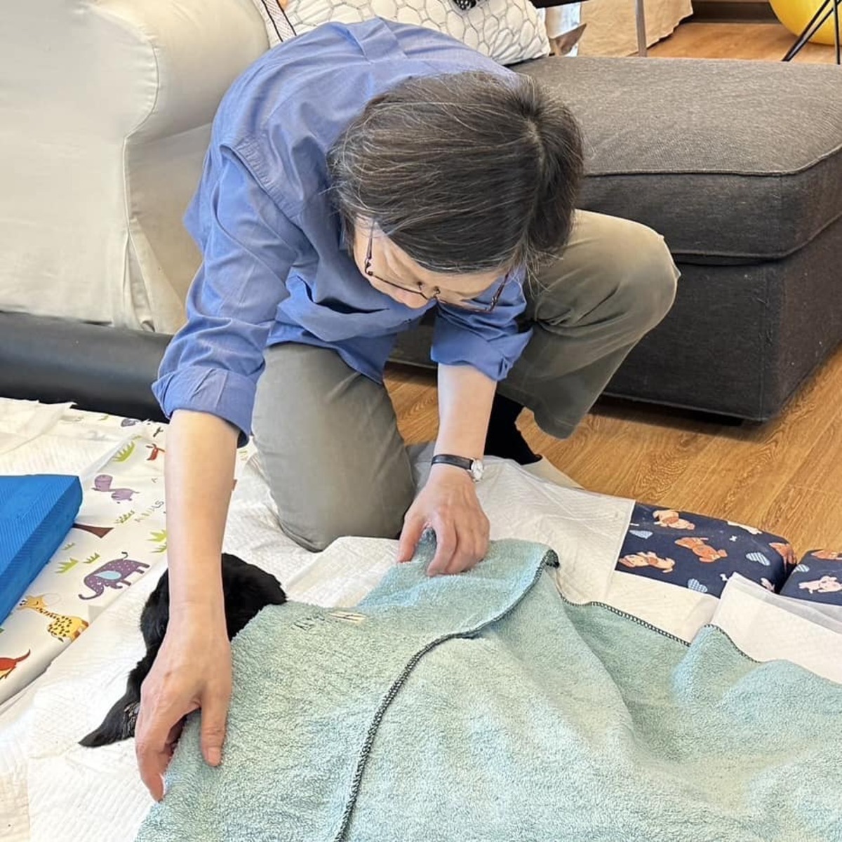 前總統蔡英文的愛犬Maru離世。 圖：翻攝自蔡英文臉書