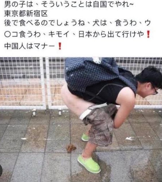 中國男子在日本馬路上當街大便 圖：翻攝自 Ｘ @xinwendiaocha
