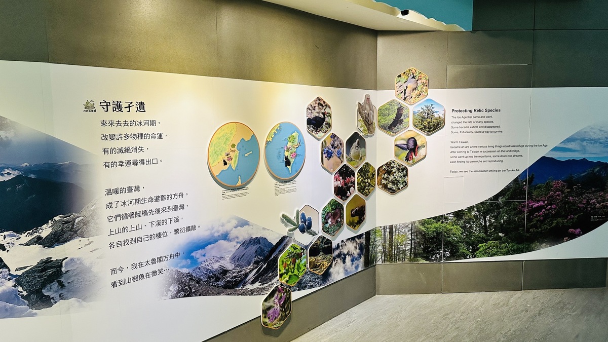 整修期間增設方舟主題展。 圖：太魯閣國家公園管理處／提供