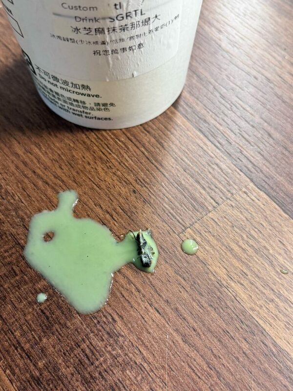 一名女性顧客指控，在台中市中清路連鎖咖啡館購買的冰飲料中發現蒼蠅和蛆蟲，疑似飲用後引發急性腸胃炎。 圖：民眾提供