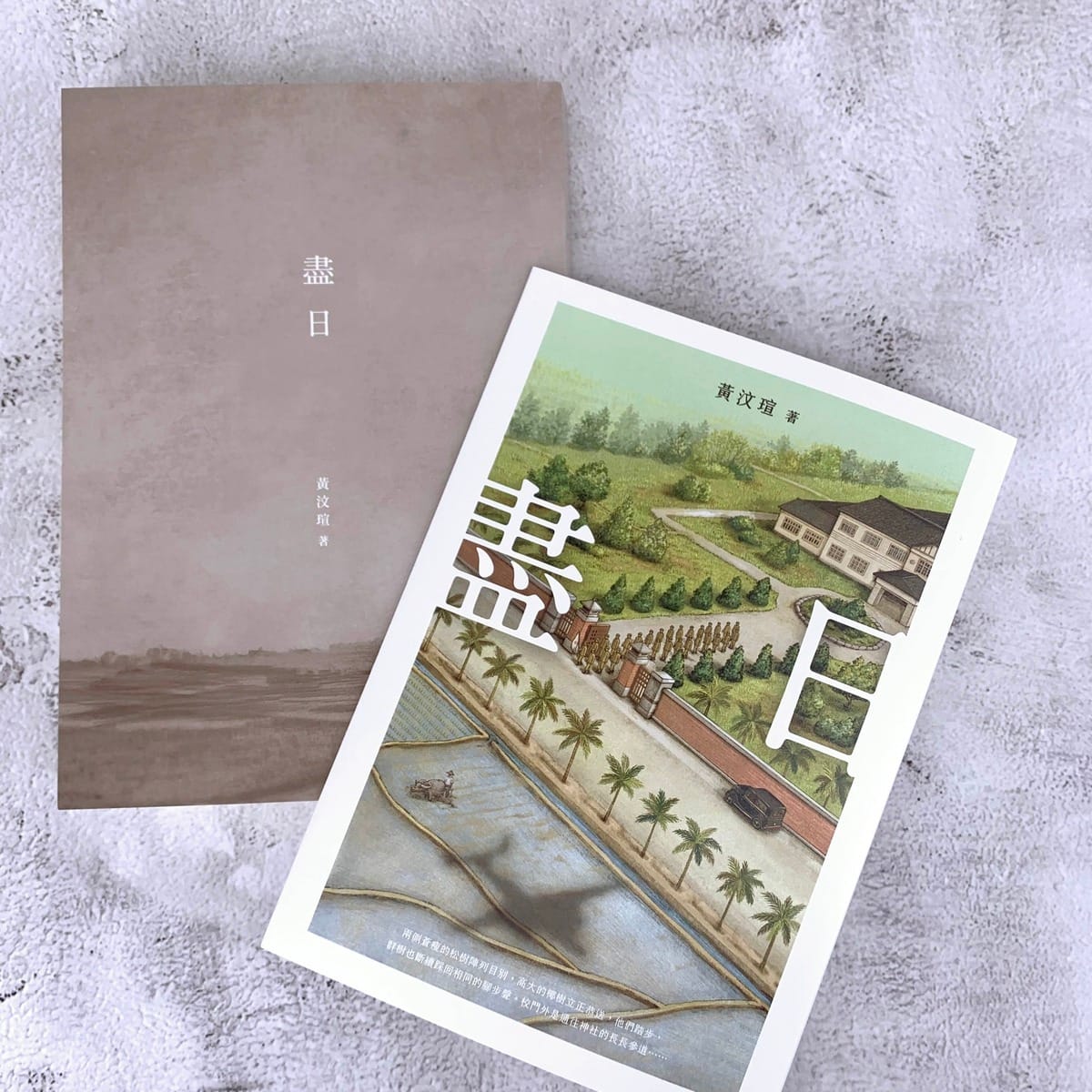 黃汶瑄「盡日」不僅以台灣日治時代結束前15天作為小說背景，同時還榮獲第2屆台灣歷史小說獎獲獎作品。 圖：取自蓋亞文化臉書