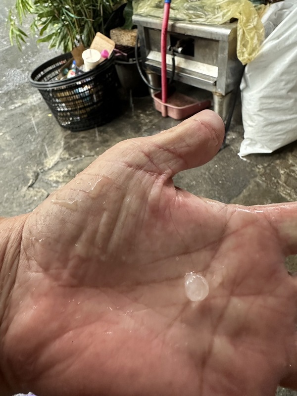 台中地區24日午後降下大雨，中央氣象署並發出大雷雨災防告警，其中在太平地區還出現冰雹，有民眾將冰雹拿在手中拍照。 圖：中央社/里長張雅芳提供