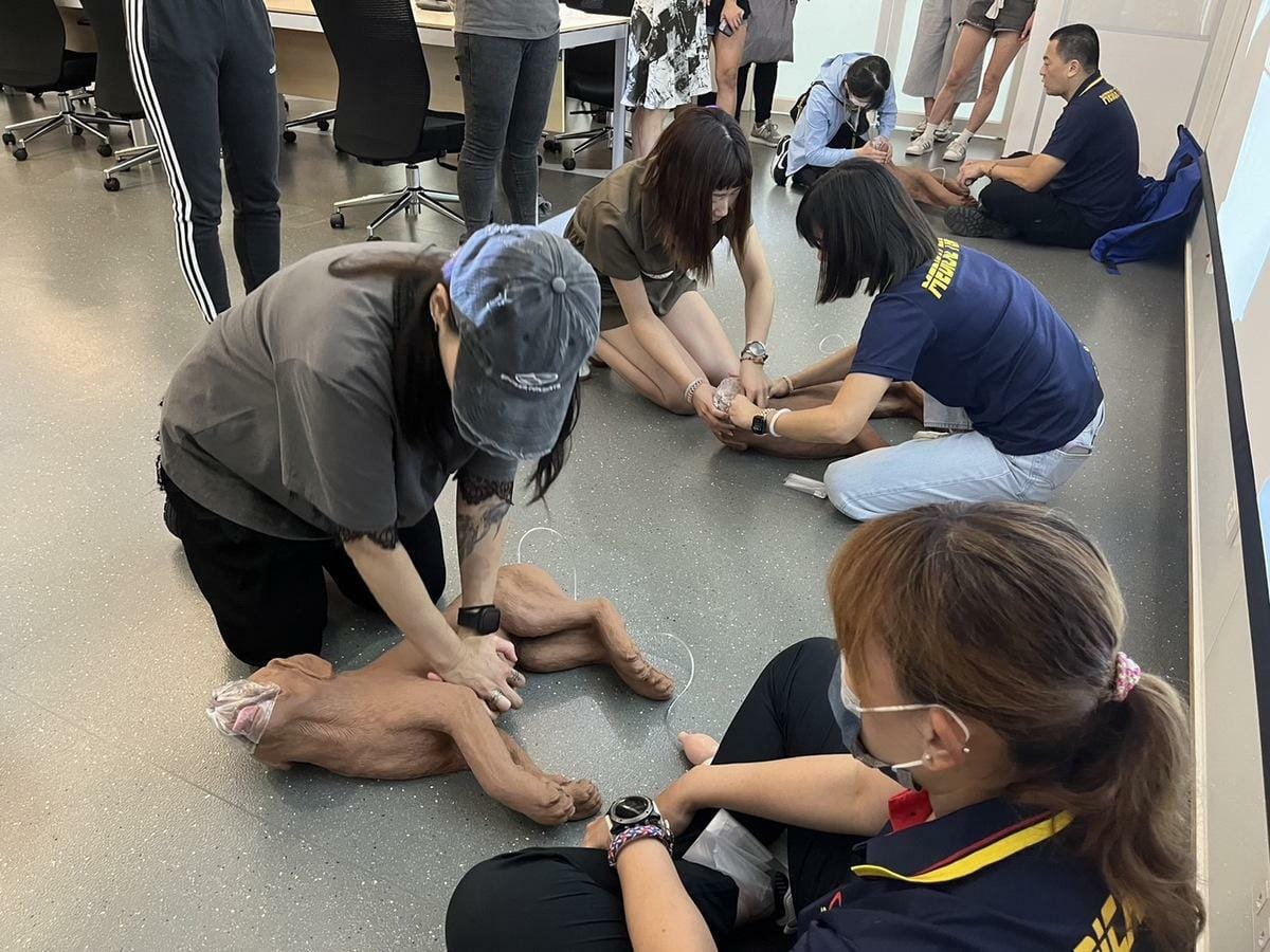 寵物美容師實習寵物CPR心臟按摩急救術。 圖：新北市動保處／提供
