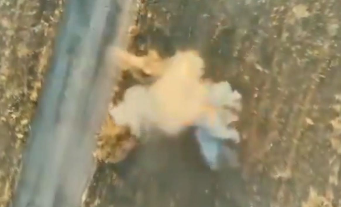 位於科斯特揚尼夫卡的烏軍第 79 空中突擊旅，成功用無人機擊退俄羅斯的機械化襲擊。 圖：翻攝自 NOELREPORTS X 帳號